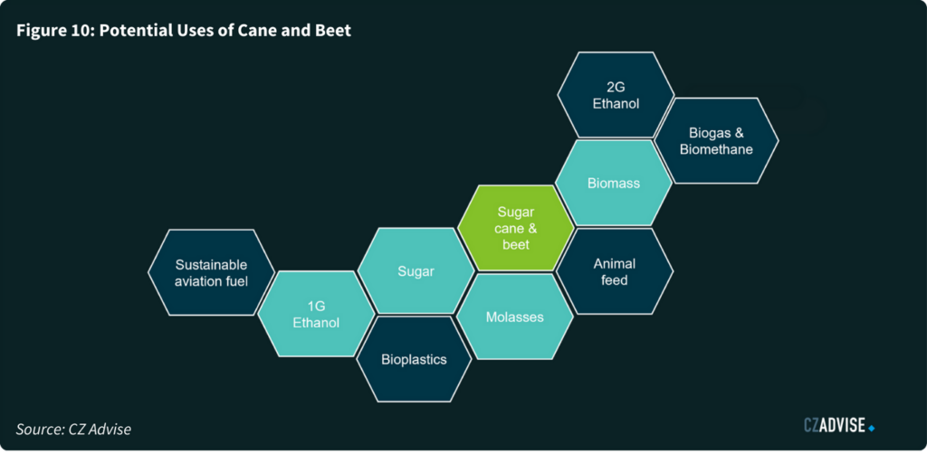 Potential Uses of Cane and Beet